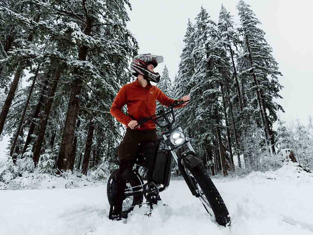 Freego Nachbike Swift S1 Motorcycle Electric Bike