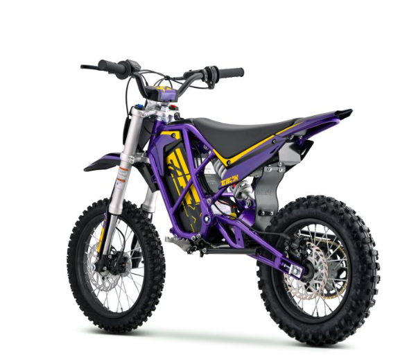 EBOX V3 60R Purple/Gold