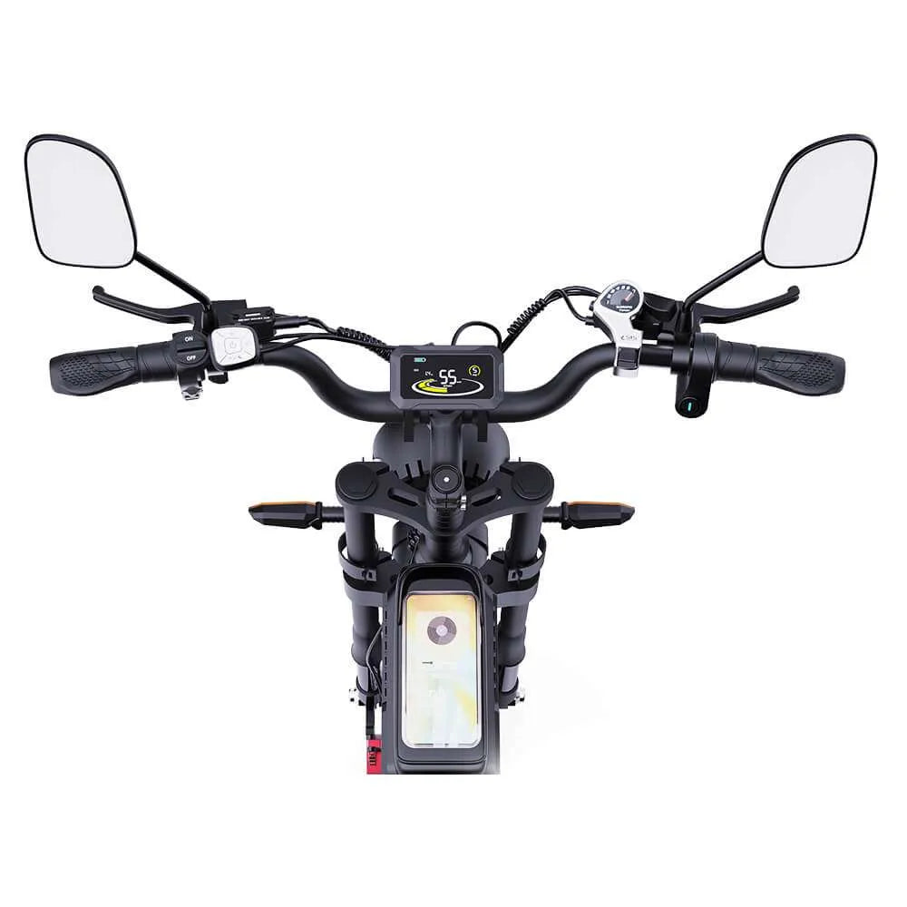 RIDSTAR Q20 PRO/PLUS DUAL BATTERY