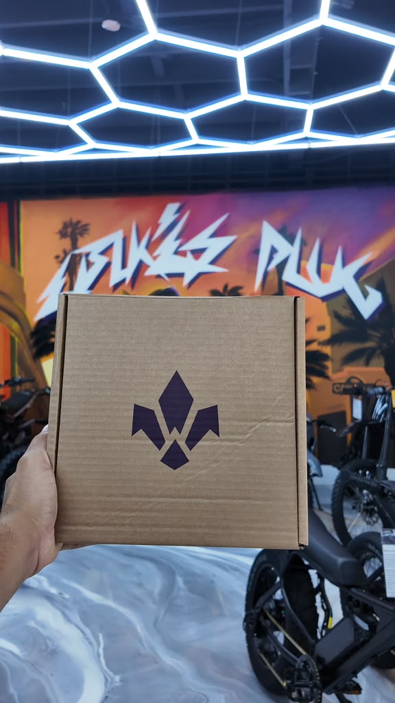 Formula E-Moto Breaks 