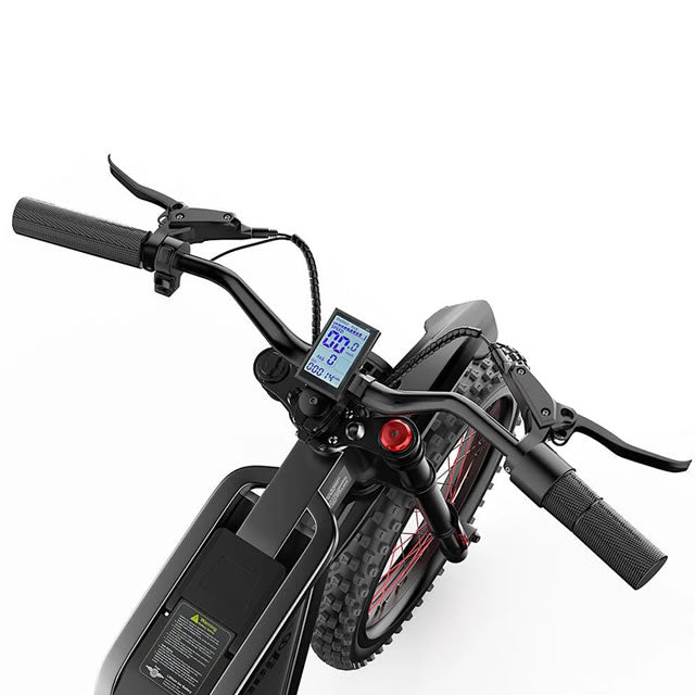 Freego X2 Dirt Master Off-Road eBike