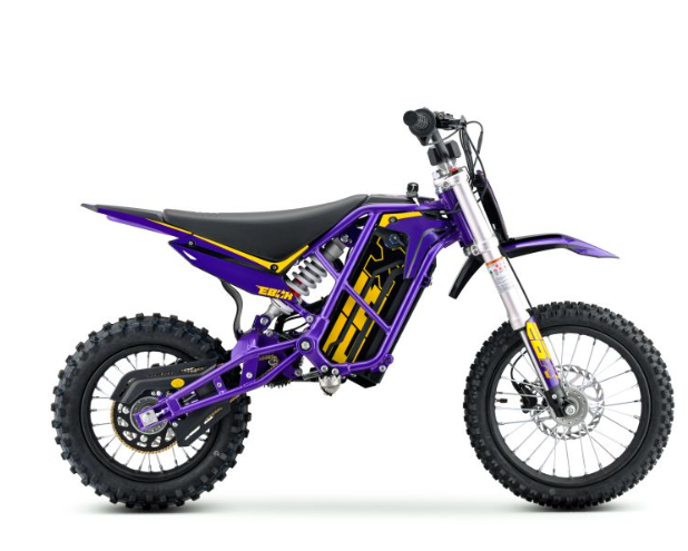 EBOX V3 60R Purple/Gold