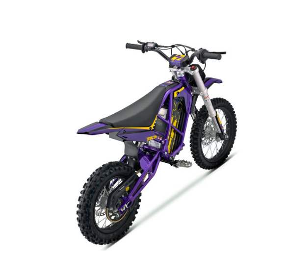 EBOX V3 60R Purple/Gold