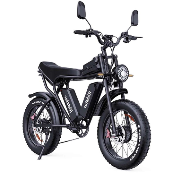 RIDSTAR Q20 PRO/PLUS DUAL BATTER