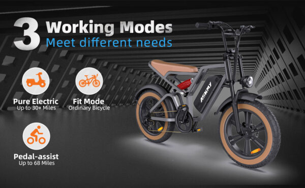 E 600 Off-road Mountain/City  Ebike - Image 2