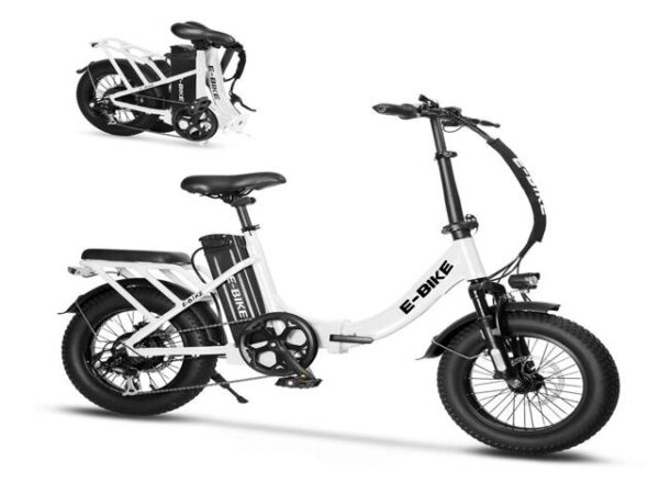 EG16-YX02 eBike - Image 6