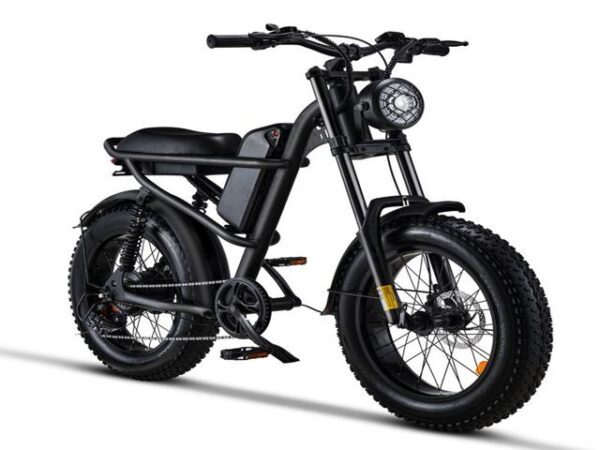 FW-28 Ebike - Image 2