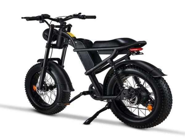 FW-28 Ebike - Image 4