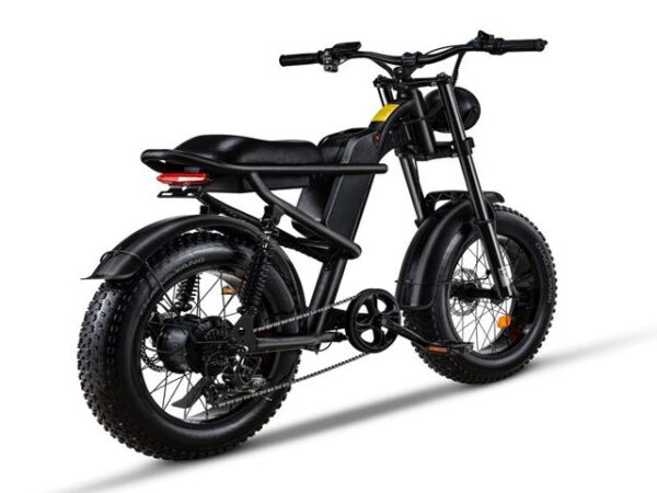 FW-28 Ebike - Image 5