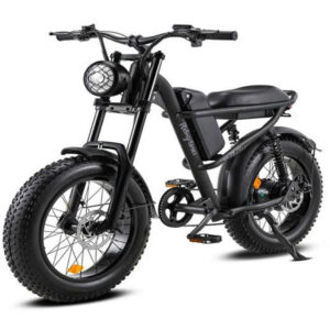 fwz8 ebike