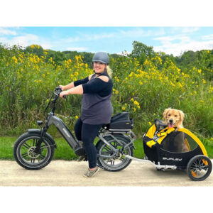 Himiway Big Dog Electric Cargo Bike