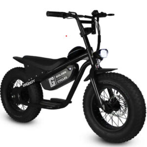 Big Boy Ebike