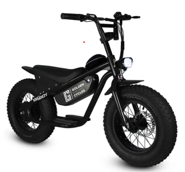 Big Boy Ebike