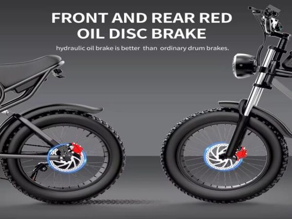 Ridstar Q20 1200W Fat Tire Electric Bicycle