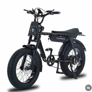 Akez ZX Electric Bike