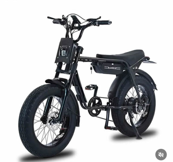 Akez ZX Electric Bike