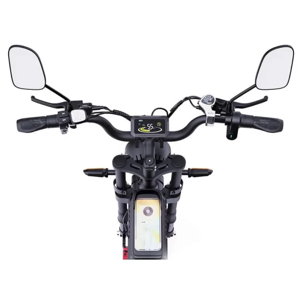 Ridstar E Bike Q20 Pro 2000W